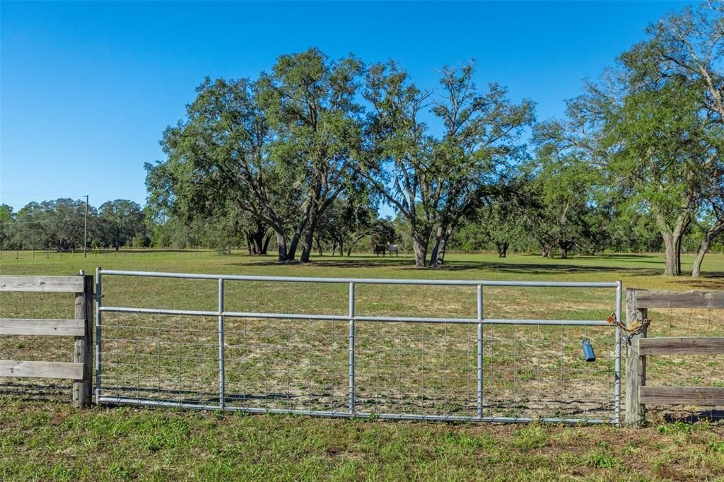 Fully Fenced & Gated!