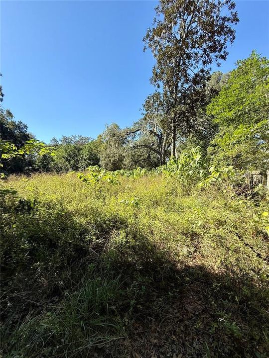 En Venta: $30,000 (0.25 acres)