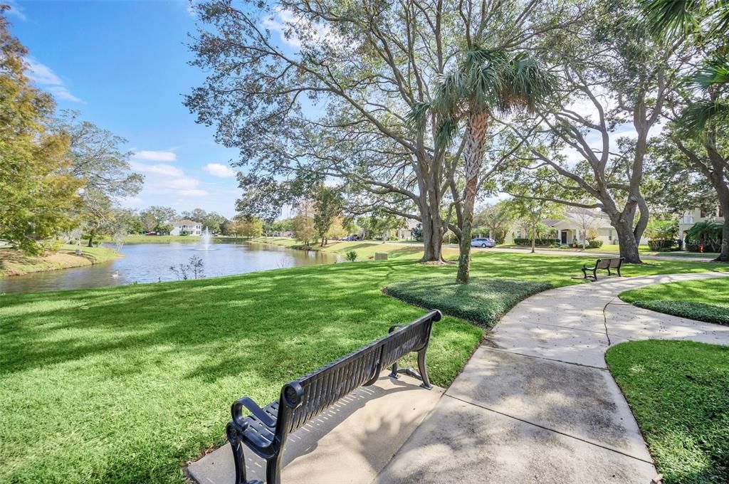 Quiet corner lot views