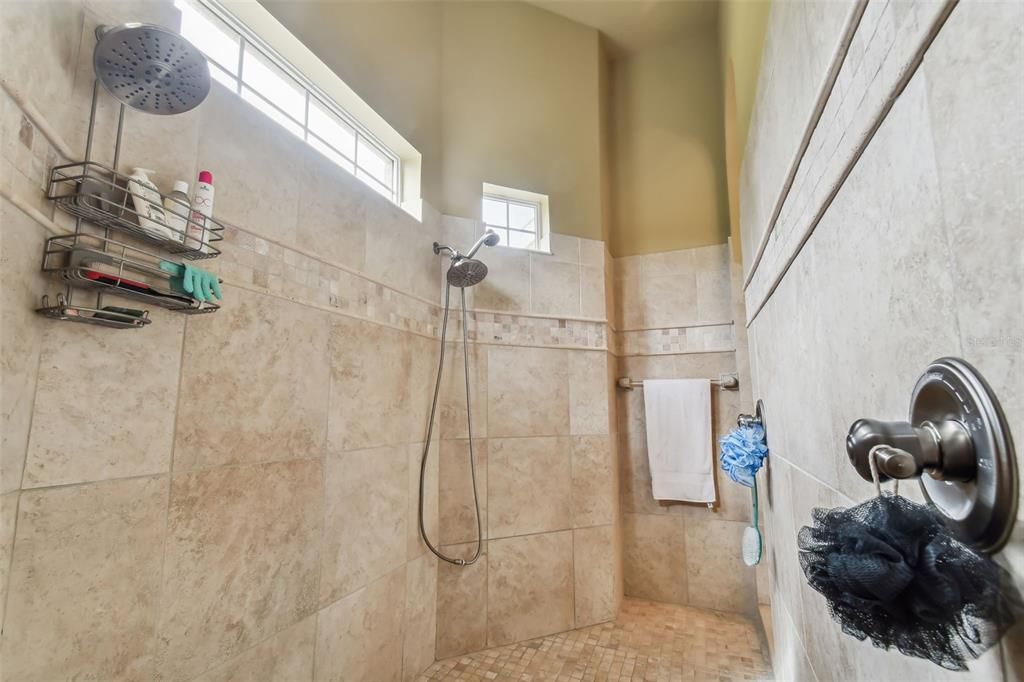 Master Bathroom Shower