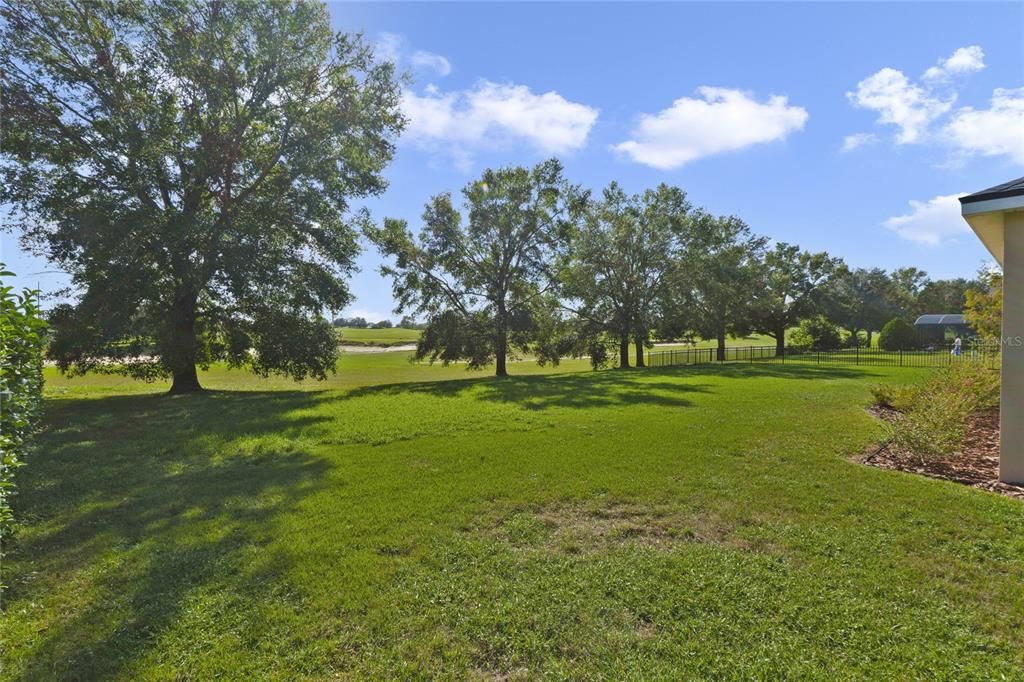 Peaceful back yard with views of #13 fairway and green