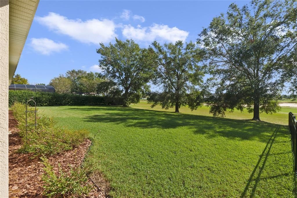 Peaceful back yard with views of #13 fairway and green