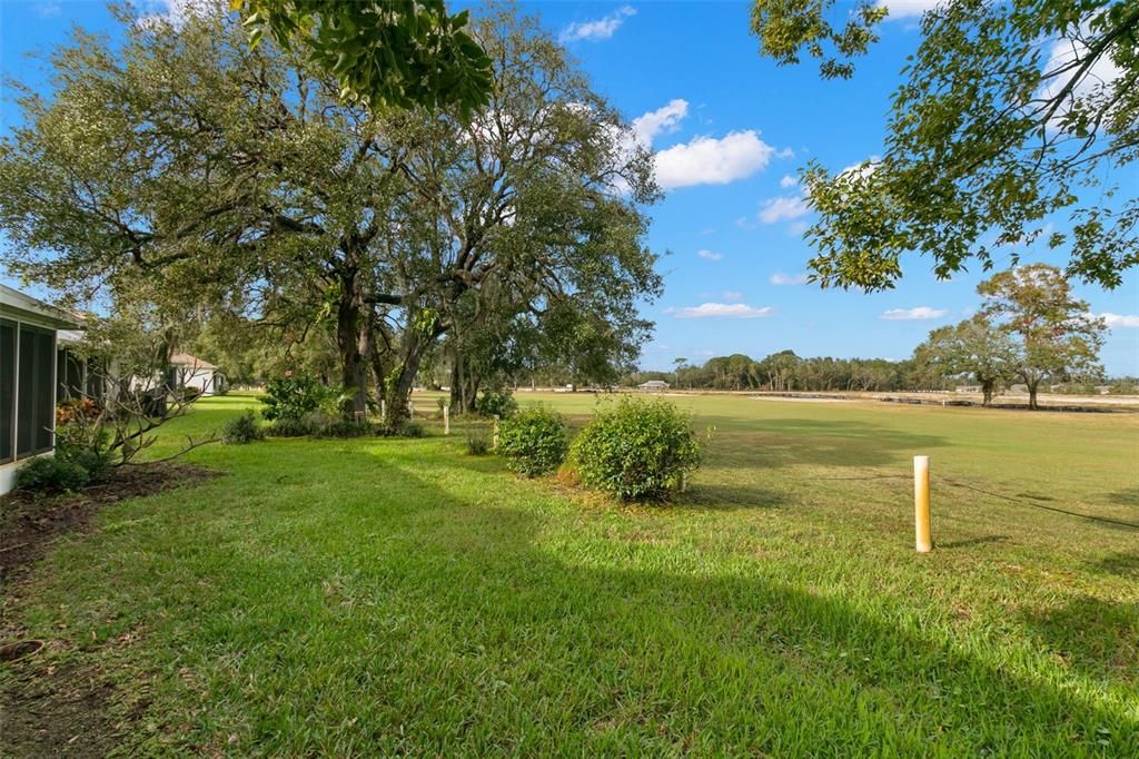 Golf course views from backyard