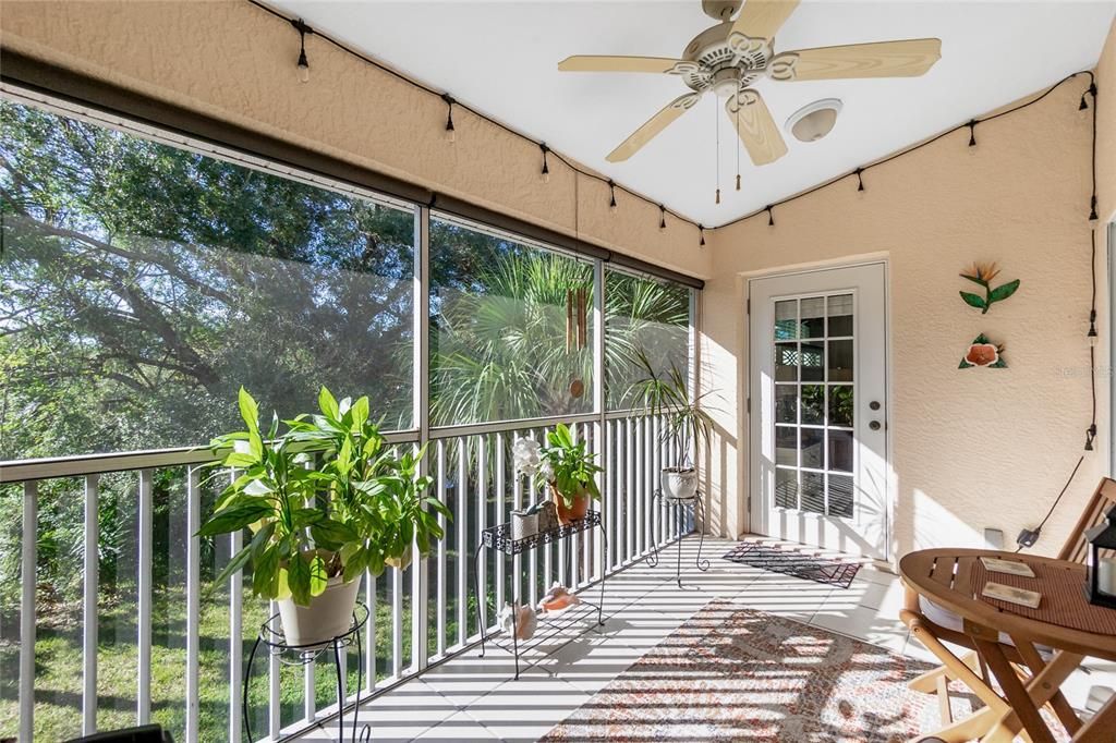 Backyard patio with wooded view