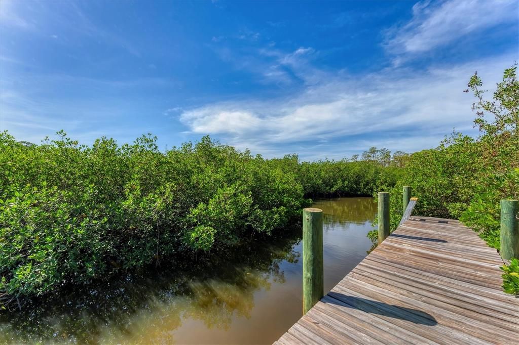 Dock on Oyster Creek Bayou.