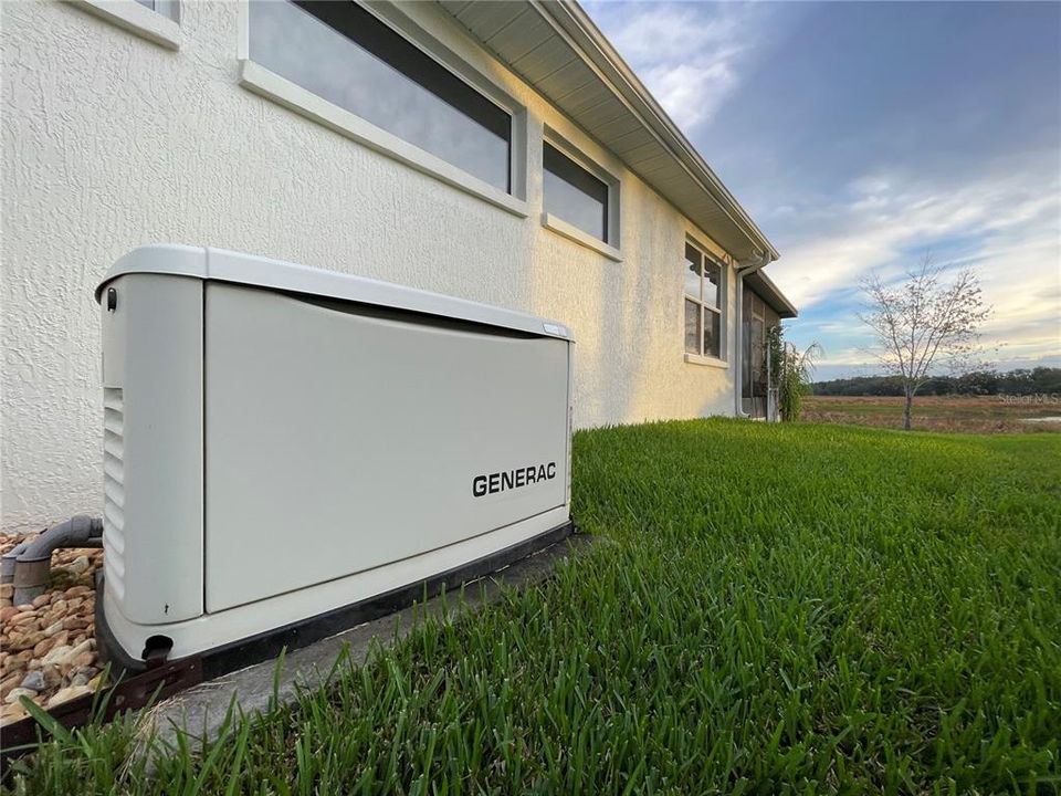 Generac generator