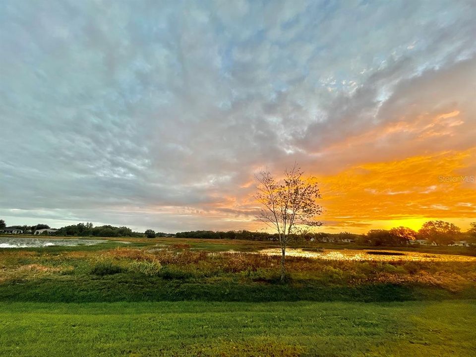 sunrise view backyard