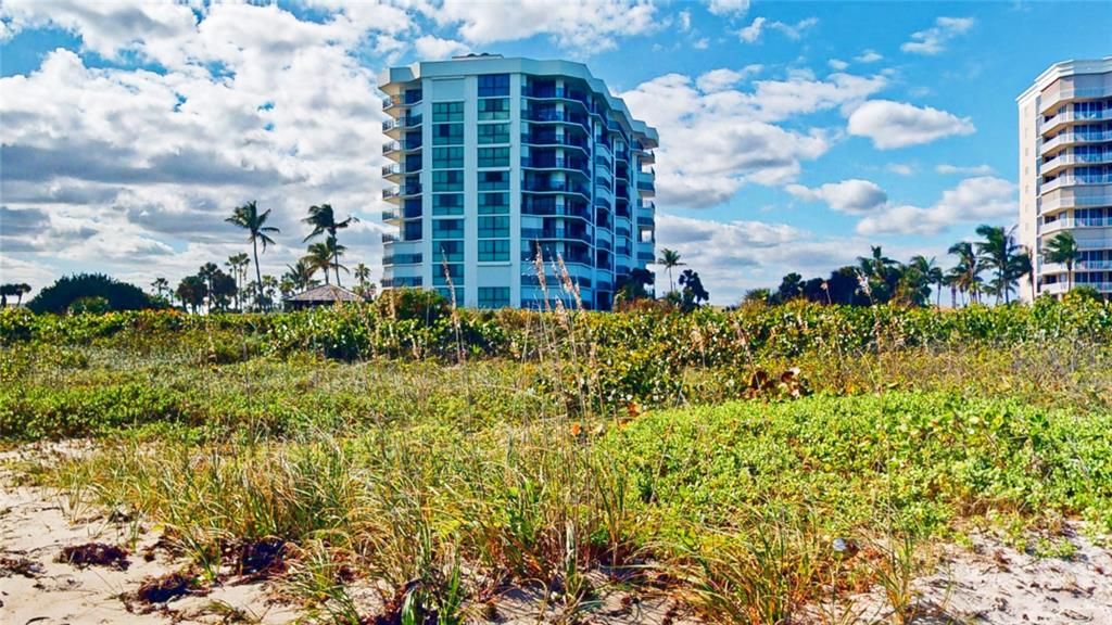 Barclay from the beach