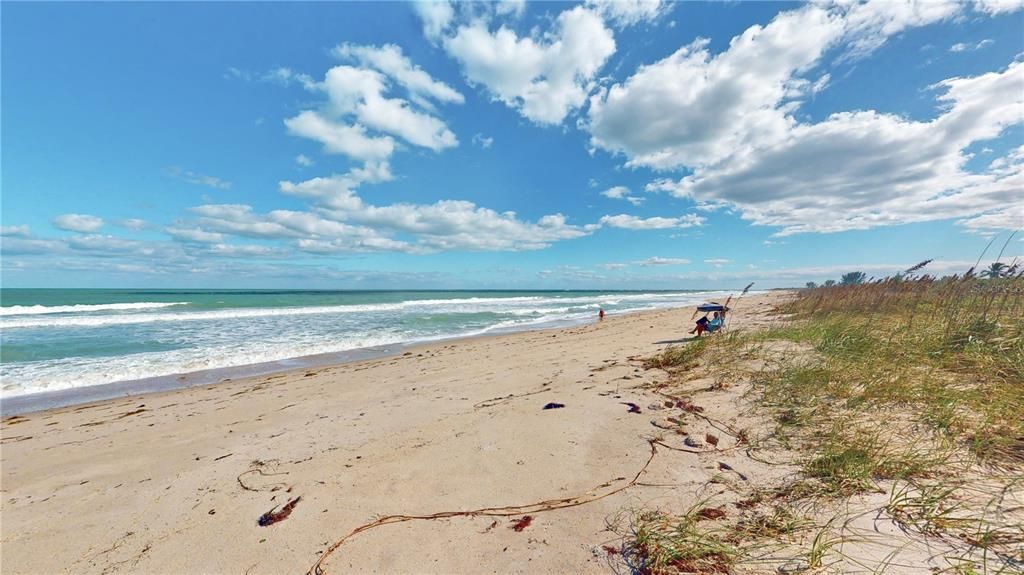 Beach looking south