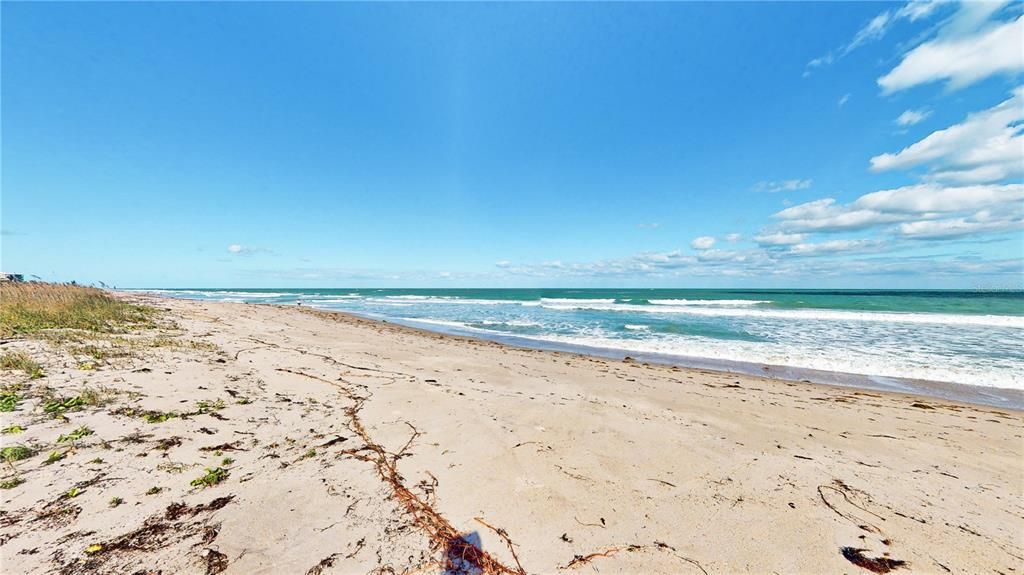 Beach looking north