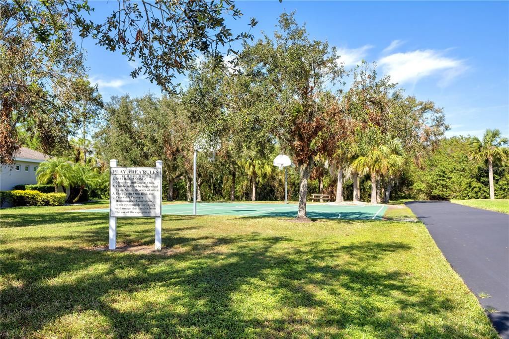 Community basketball court