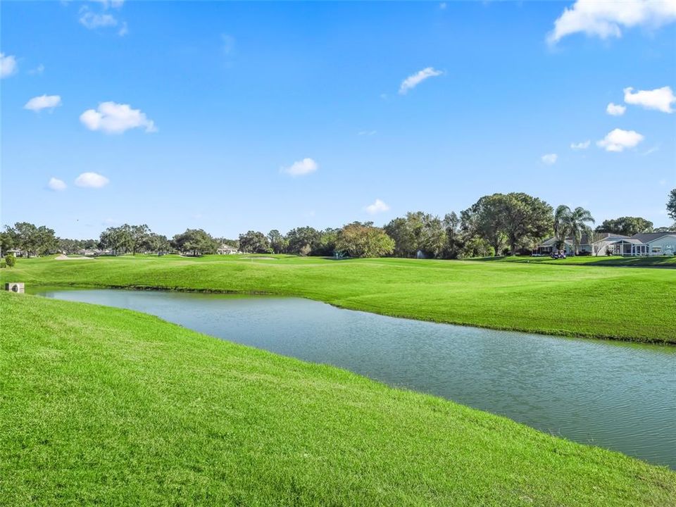 BACKYARD VIEW