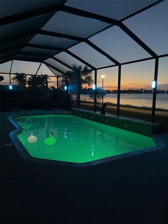 Pool:  LED Green Lights plus more