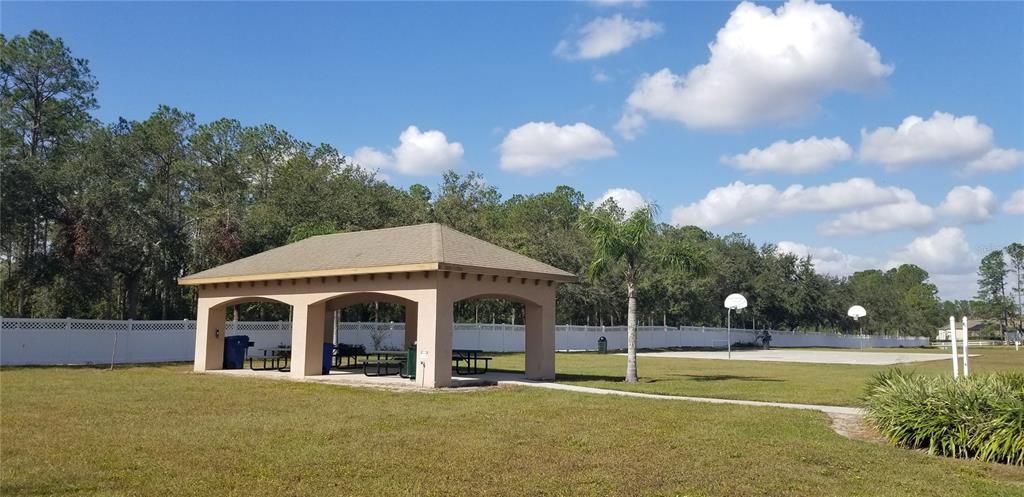 Lake Talia community area - Basketball court