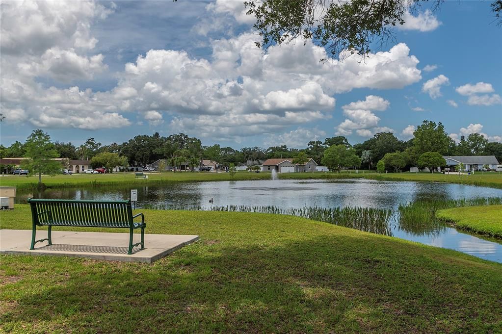 Community pond