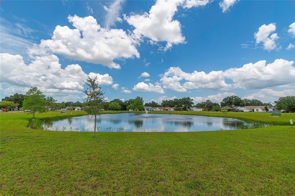 Community pond