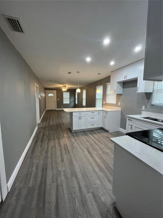 Living room and kitchen overview.