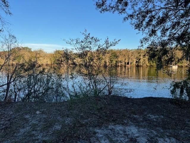 Across the street at the park - Suwannee River