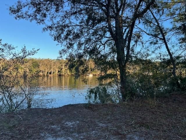 Across the street at the park - Suwannee River