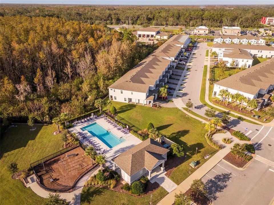 Neighborhood Aerial View