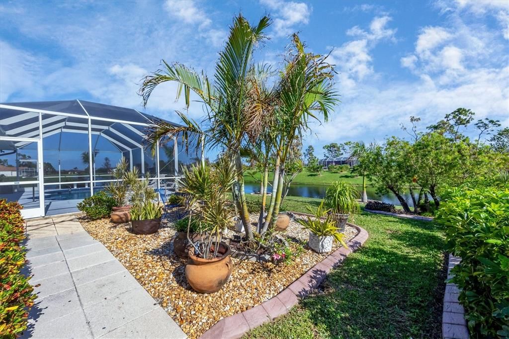 Tropical foliage includes jasmine, mother-in-laws tongue, petunias & more