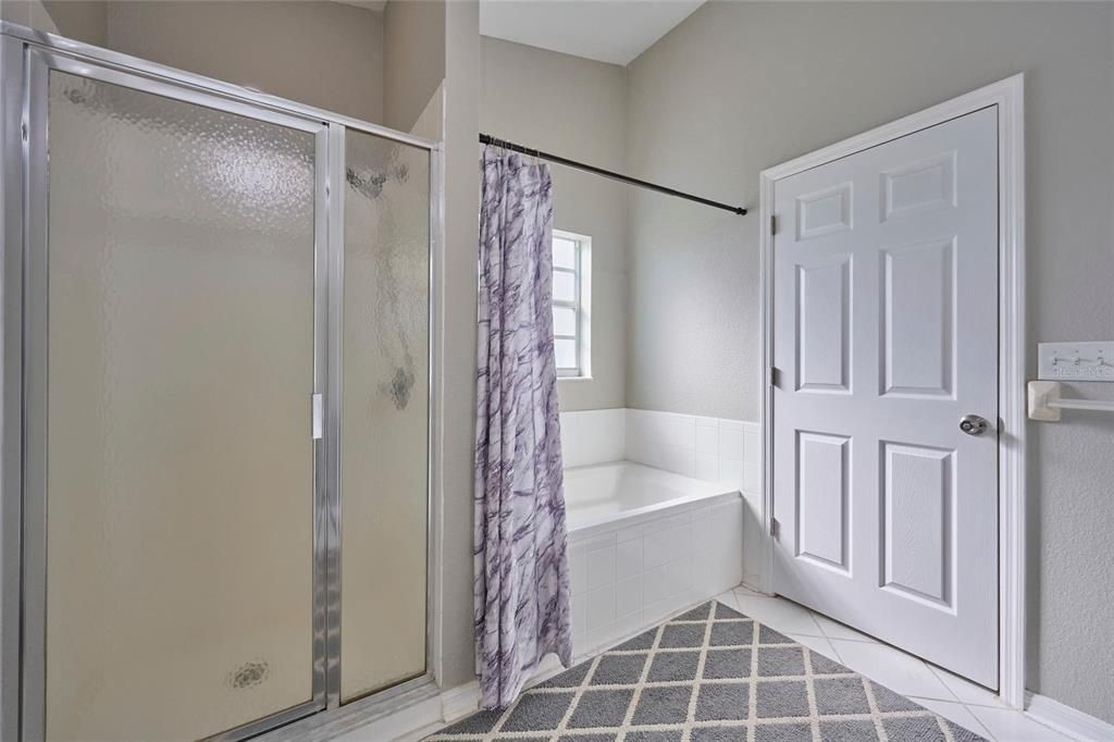 Tub and shower in master bathroom