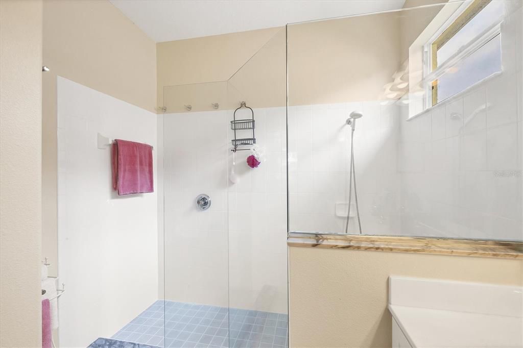 Master walk-in shower