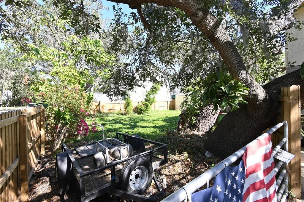 Fenced Yard with Gate