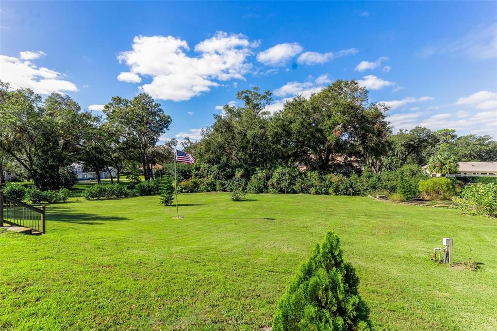 Oversized Backyard Area