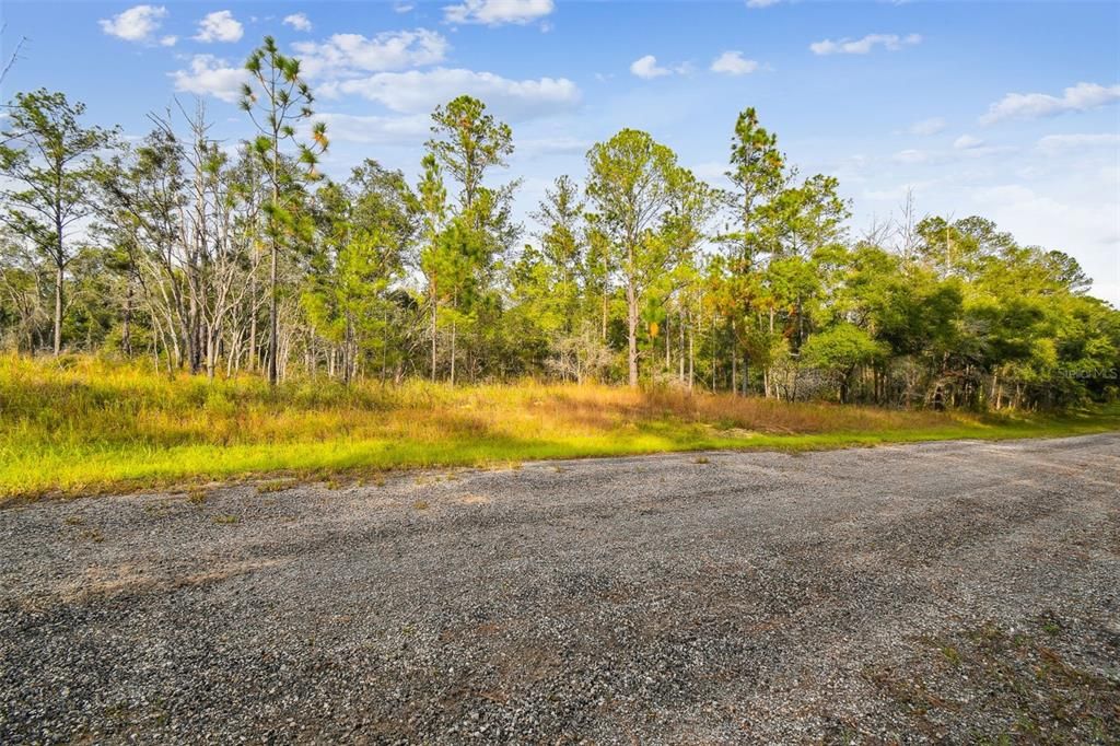 For Sale: $20,745 (0.23 acres)