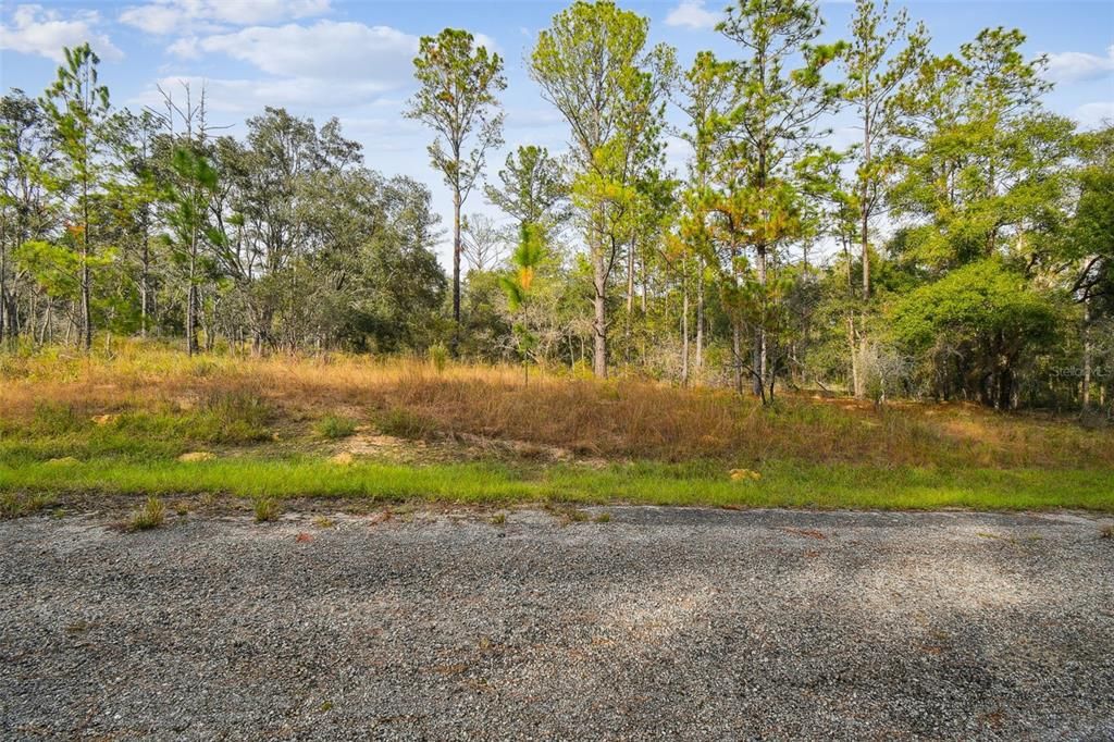 For Sale: $20,745 (0.23 acres)