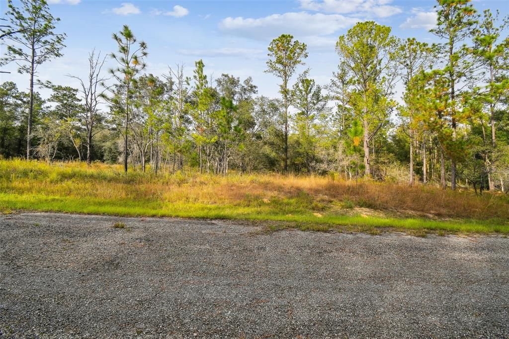 For Sale: $20,745 (0.23 acres)