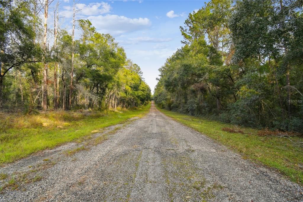 For Sale: $20,745 (0.23 acres)