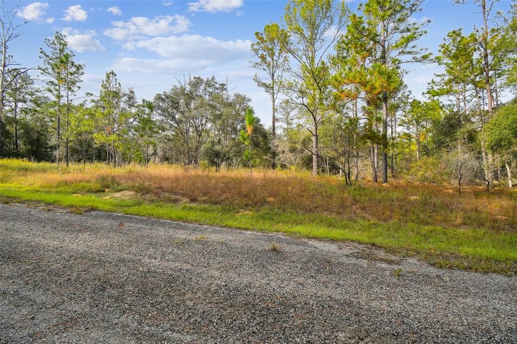 For Sale: $20,745 (0.23 acres)