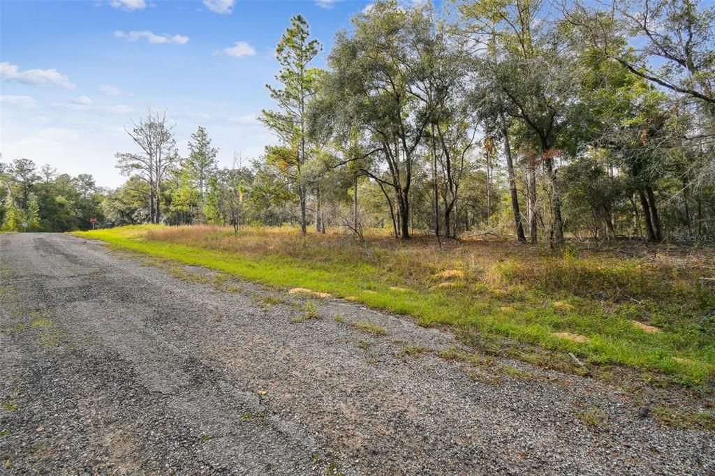 For Sale: $20,745 (0.23 acres)