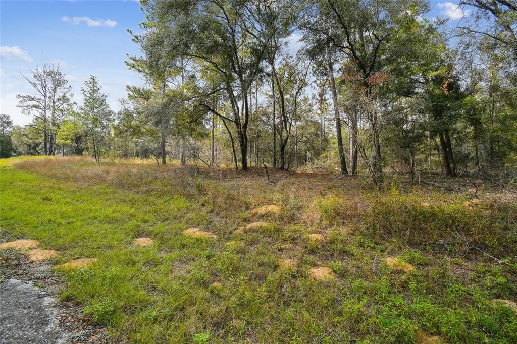 For Sale: $20,745 (0.23 acres)