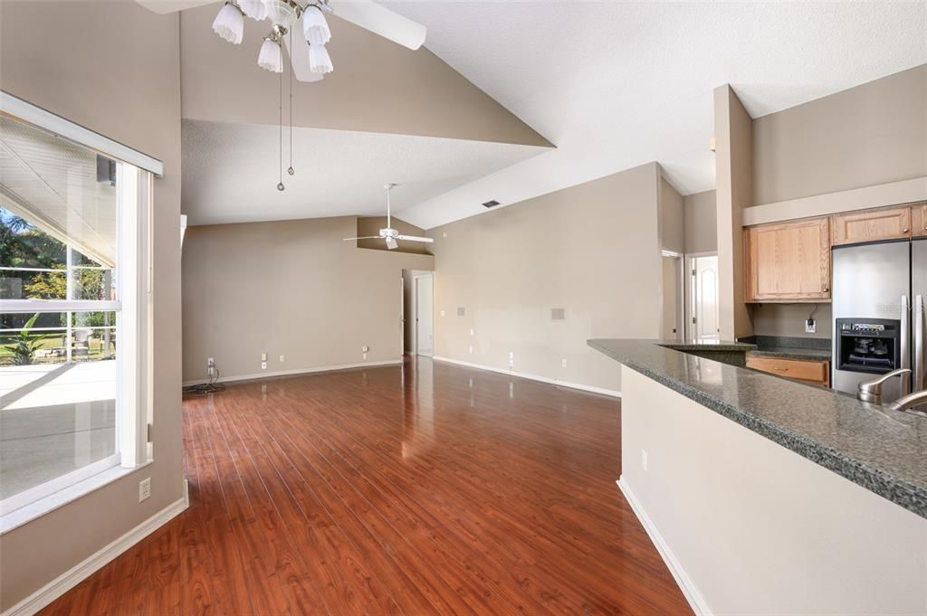 Dining Area / Living Room