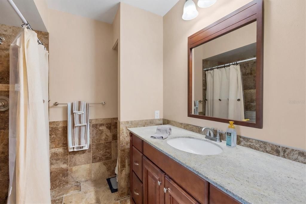 Primary bathroom w/walk-in tiled shower