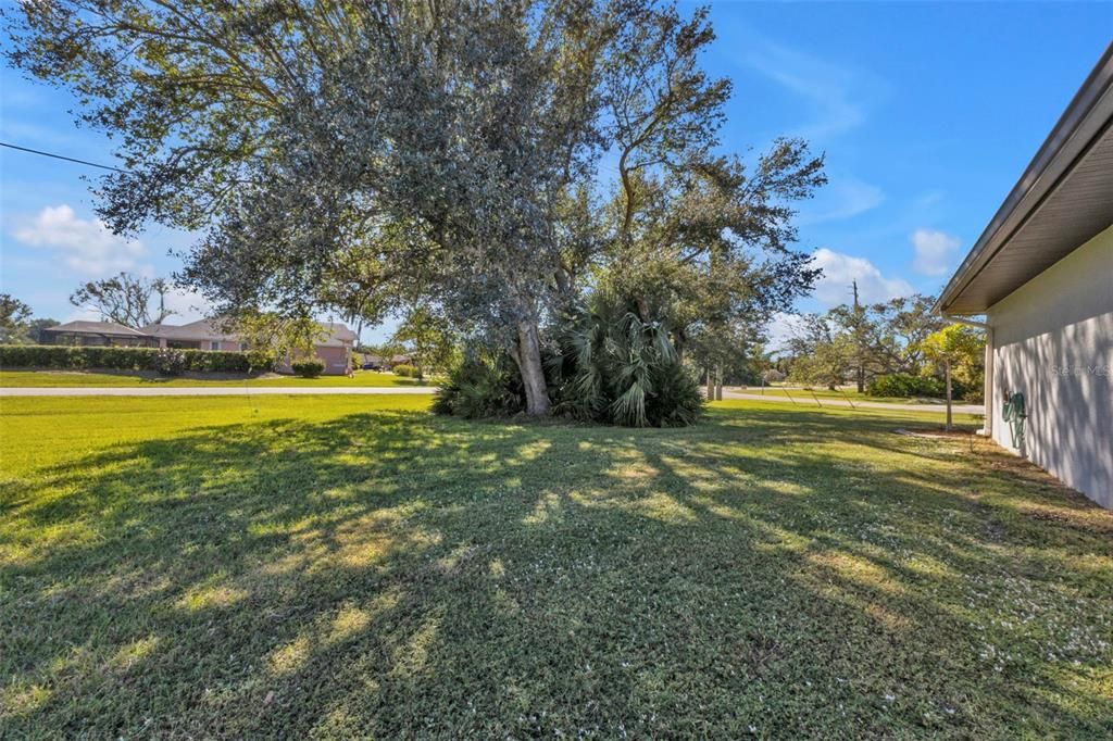 Mature Oak trees on side of house provide privacy