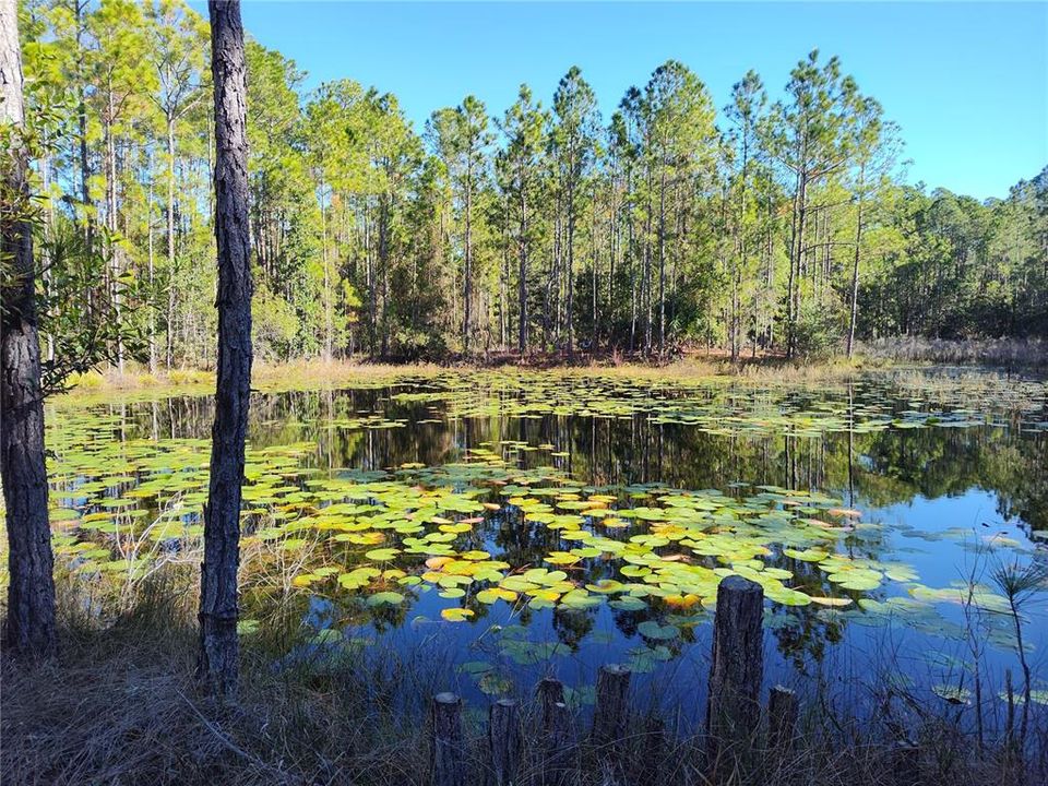 На продажу: $94,000 (4.55 acres)