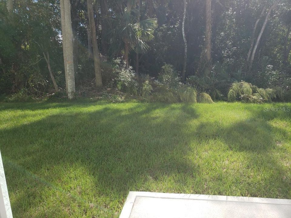 partially fenced back yard