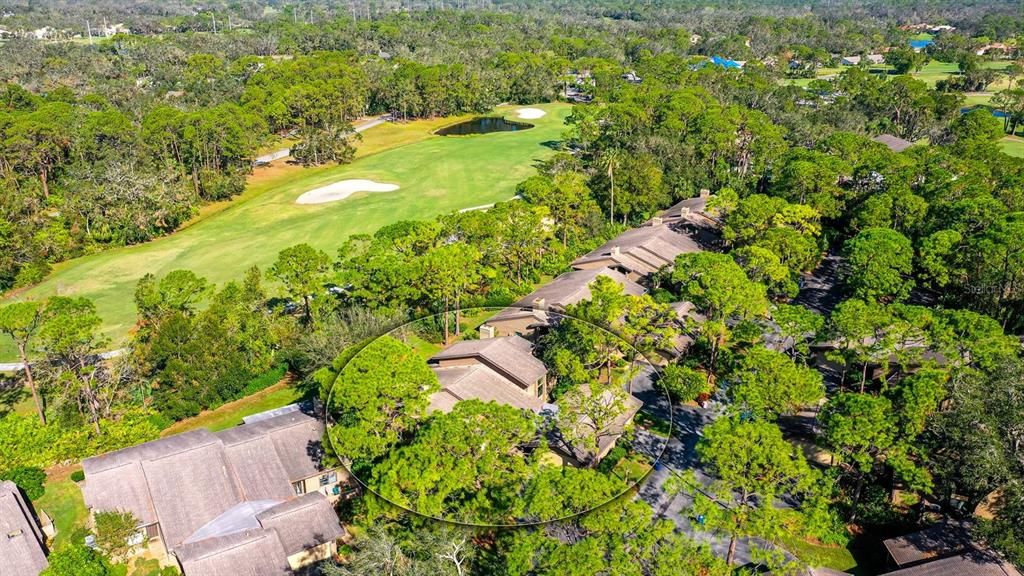 Arial view of the home