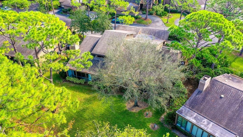 aerial view of home