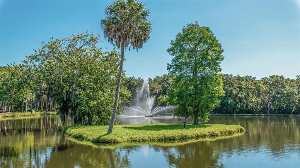 Meadows entrance fountain