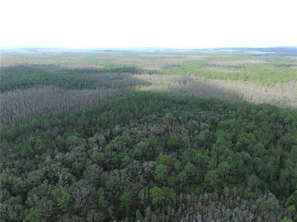 For Sale: $134,997 (6.50 acres)