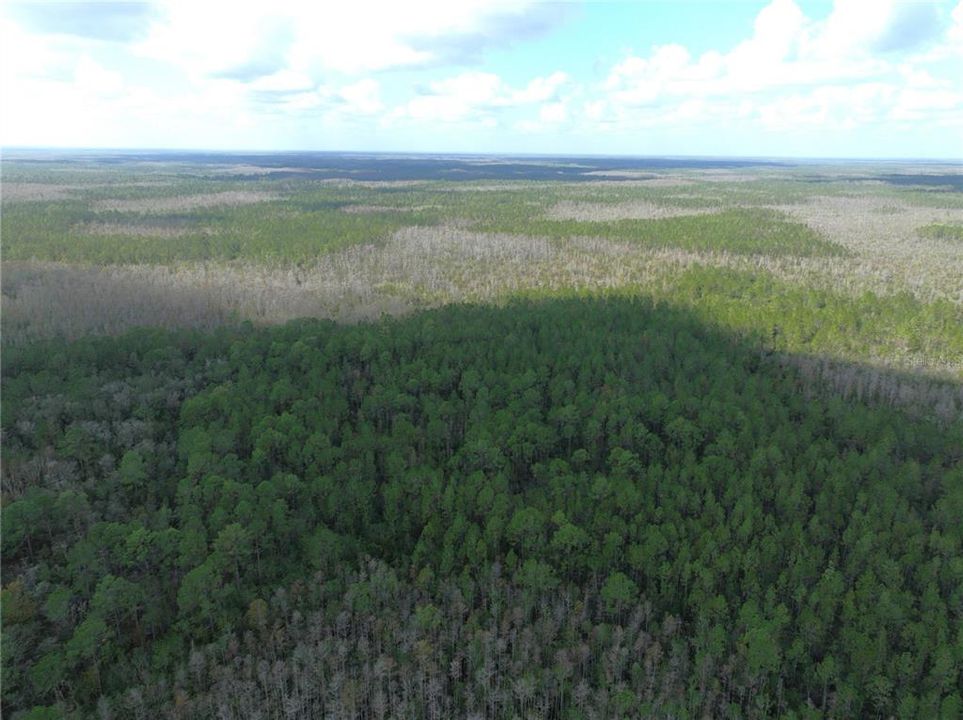 For Sale: $134,997 (6.50 acres)