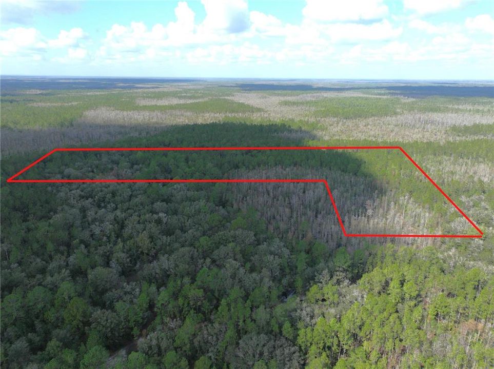 For Sale: $134,997 (6.50 acres)