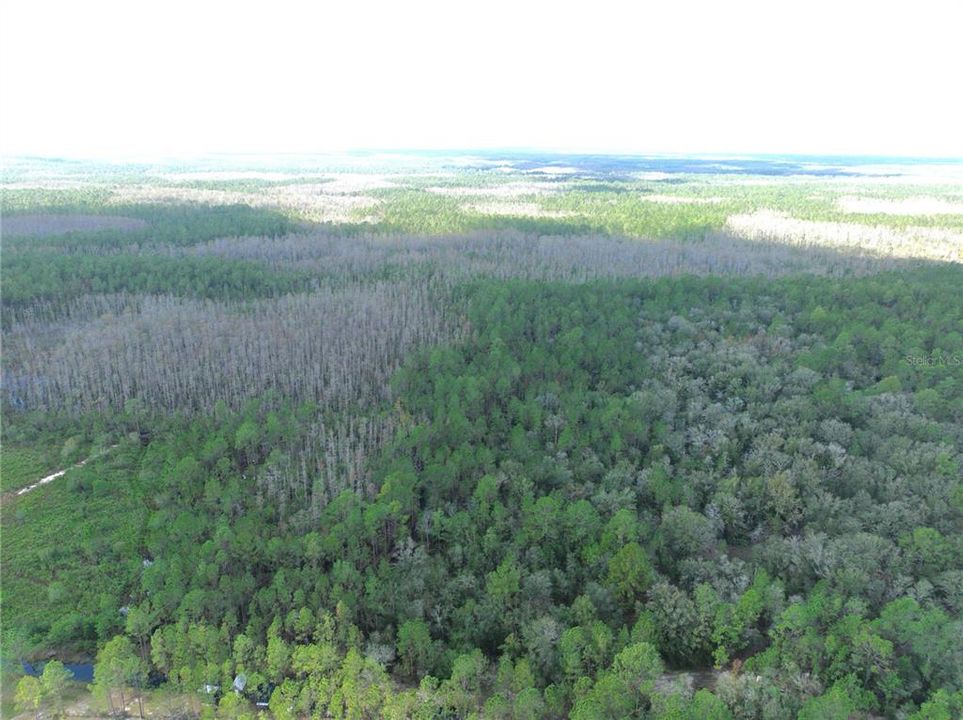 For Sale: $134,997 (6.50 acres)