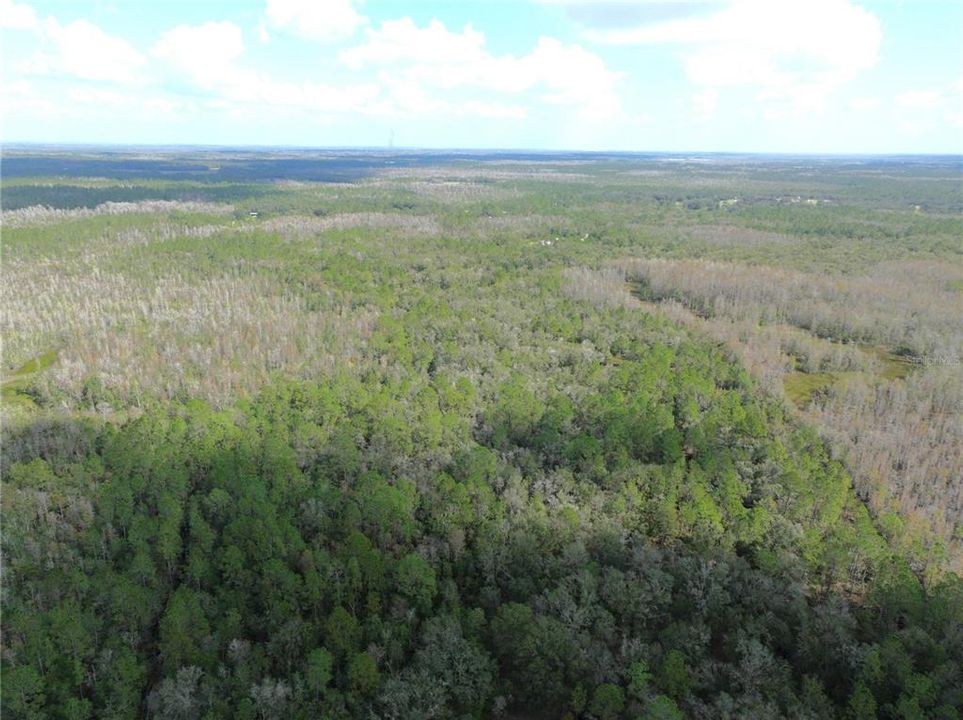 For Sale: $134,997 (6.50 acres)