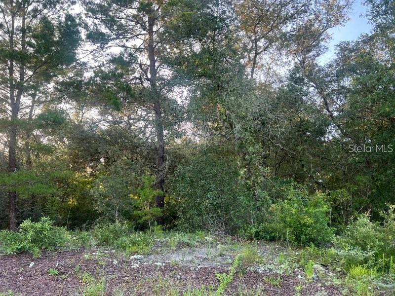 For Sale: $20,000 (0.23 acres)